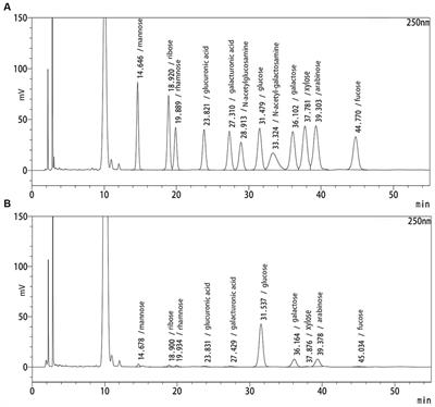 Anti-diabetic effect of red quinoa polysaccharide on type 2 diabetic mellitus mice induced by streptozotocin and high-fat diet
